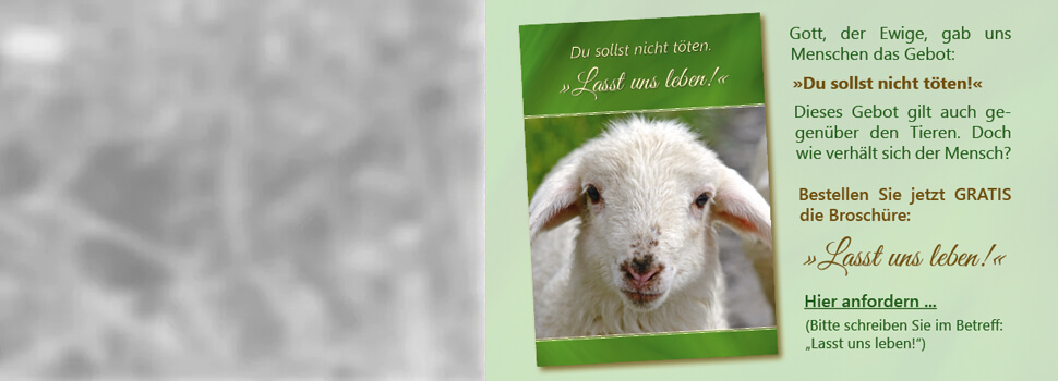 Header-lasst-uns-leben