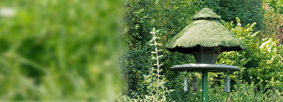 Großes Vogelhaus im Frühling.