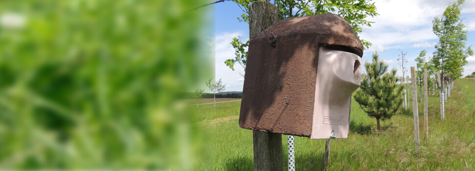 Vogelhaus im Frühling.